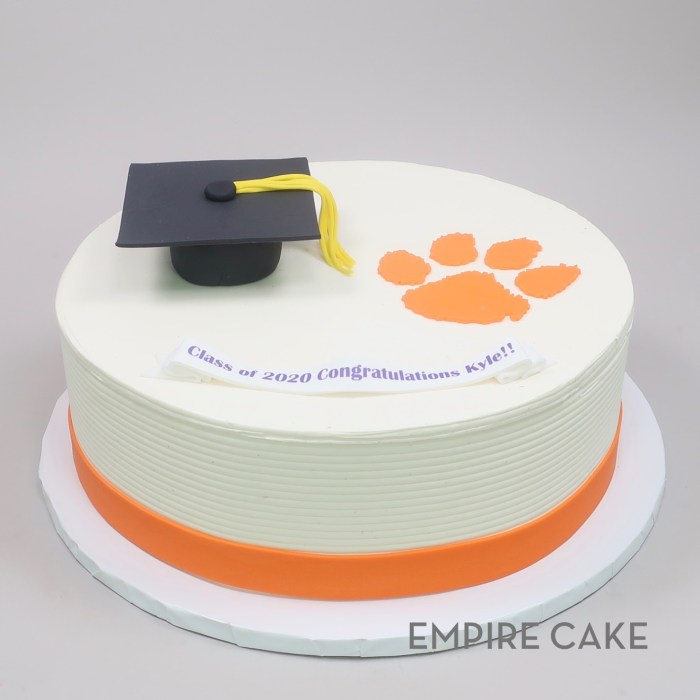 Cake graduation ideas school